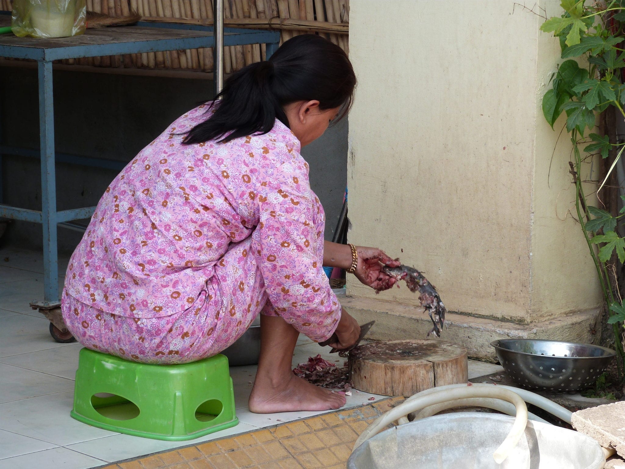 Kampot - Stadt des Pfeffers Kampot - Stadt des Pfeffers