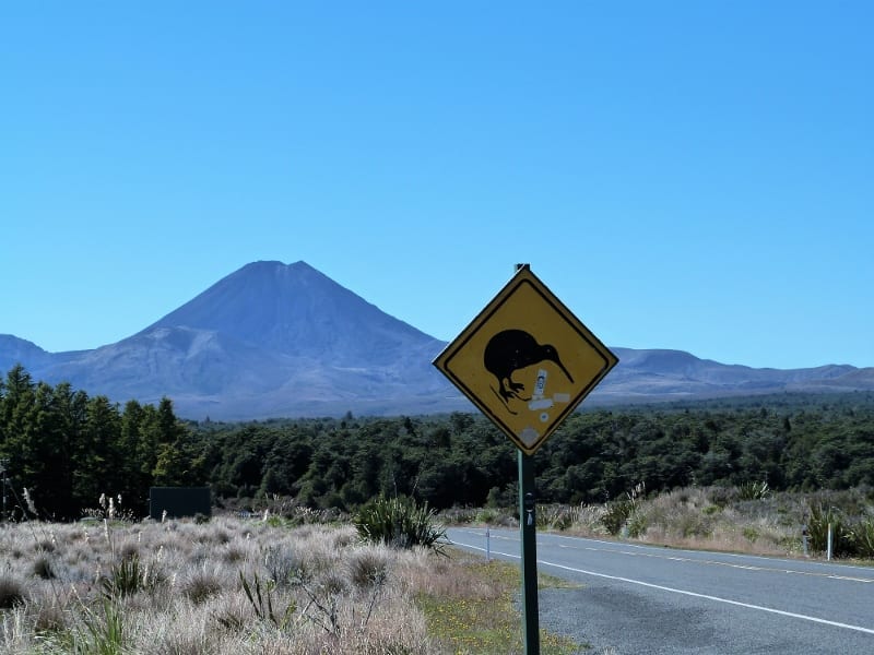 P1040473 - Kopie (800x600)