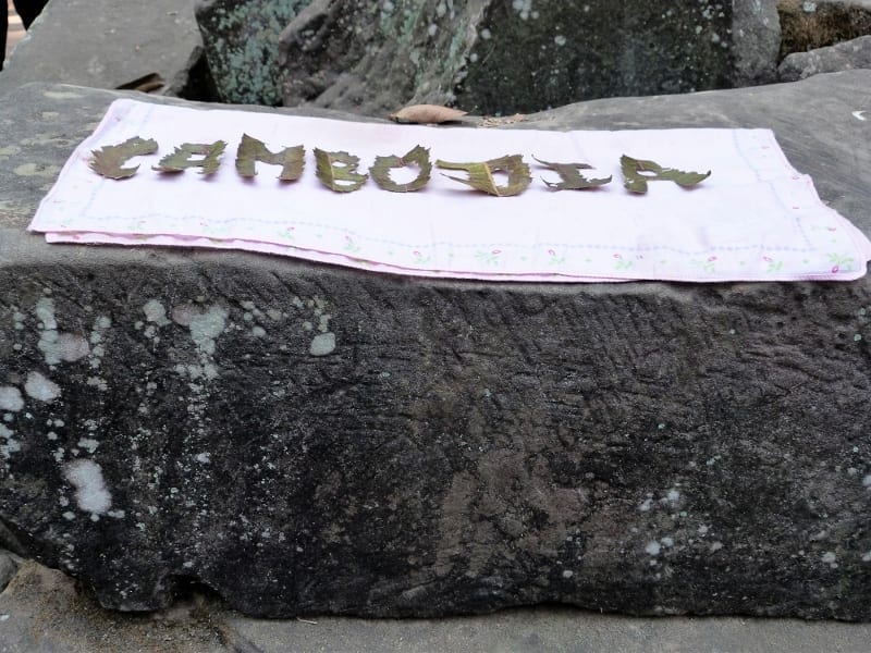 P1030588 - Kopie (800x600)