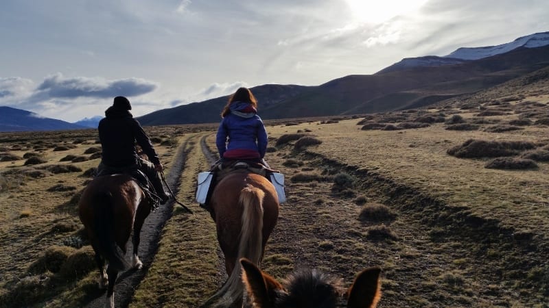 20170429_115114 (800x450)