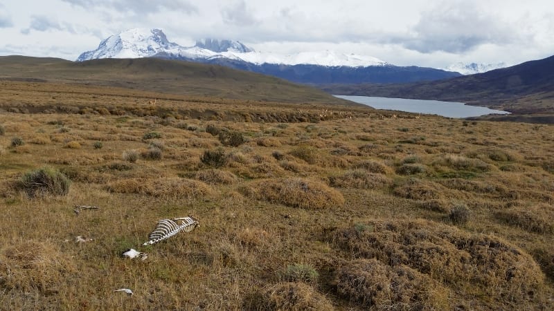 20170429_133411 (800x450)