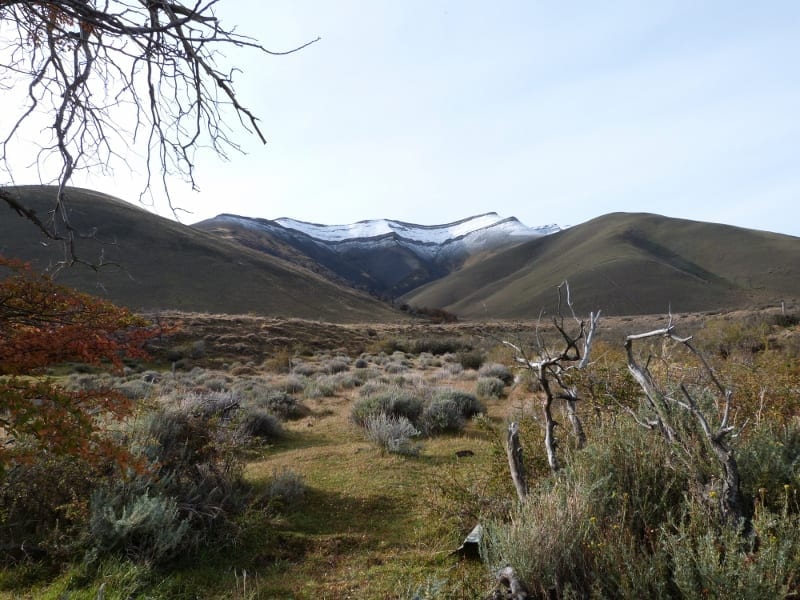 Patagonien - von Punta Arenas bis Torres del Paine