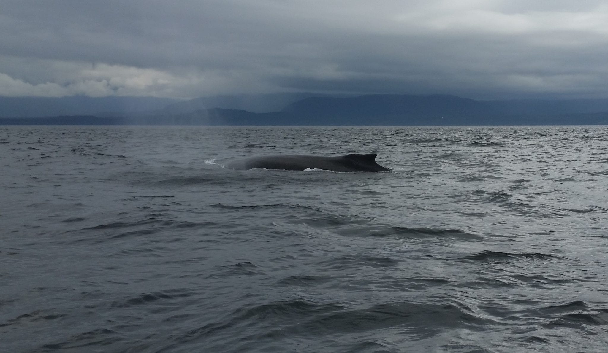 20170720_153319 20170720_153319